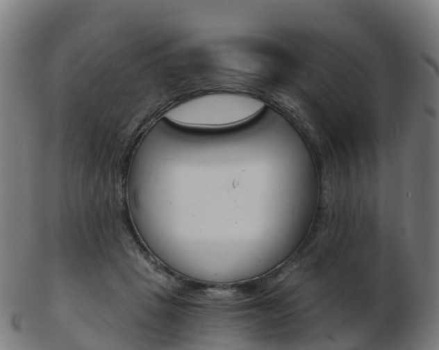 X0000103500457200809121016