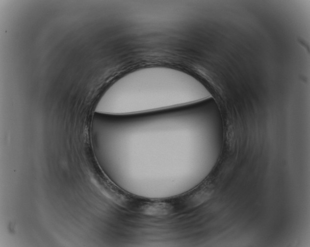 X0000103500459200809121016