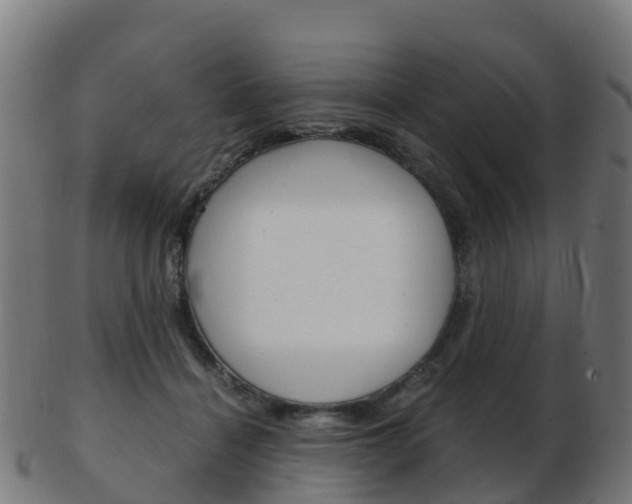 X0000103500460200809121016