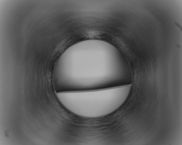 X0000103500461200809121016