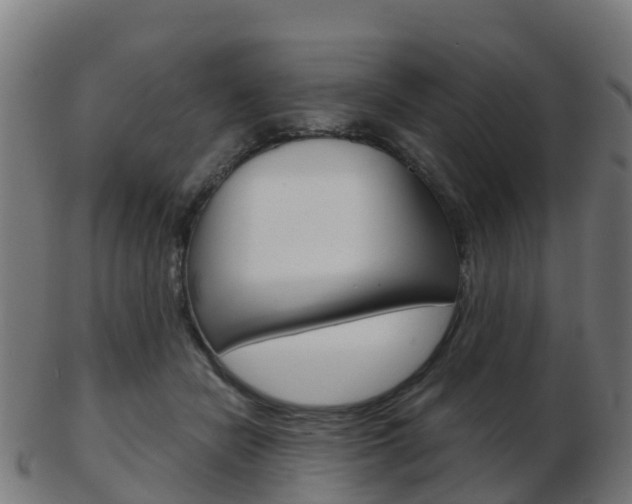 X0000103500462200809121016