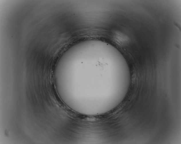 X0000103500464200809121016