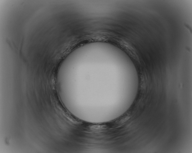 X0000103500465200809121016