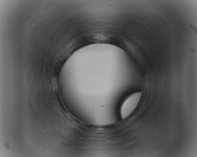 X0000103500467200809121016