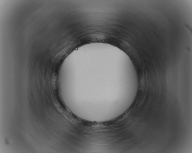 X0000103500468200809121016