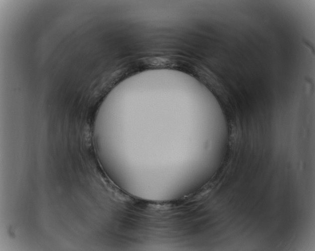 X0000103500469200809121016