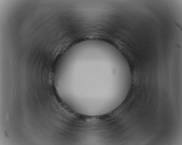 X0000103500470200809121016