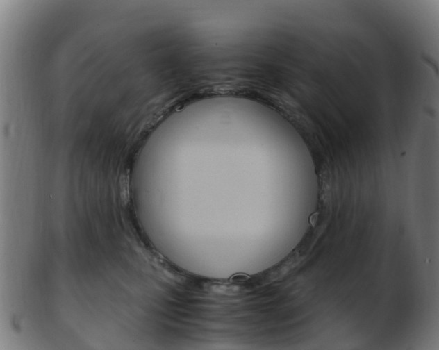 X0000103500471200809121016