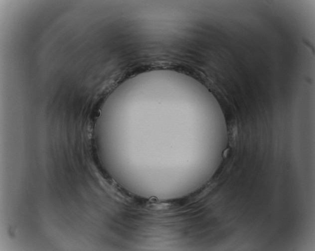 X0000103500472200809121016