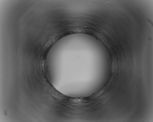 X0000103500473200809121016