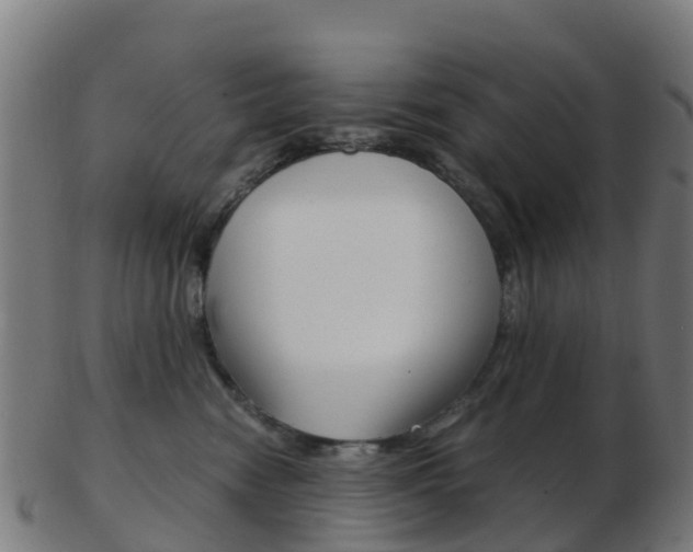 X0000103500474200809121016