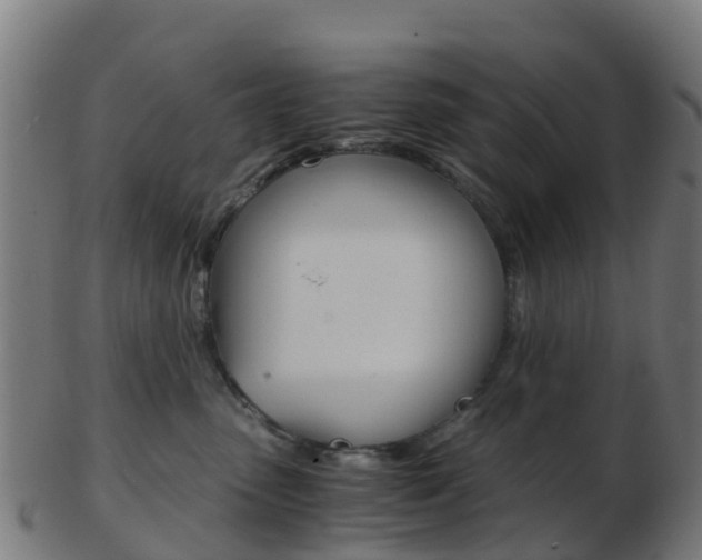 X0000103500475200809121016