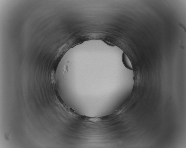 X0000103500478200809121016