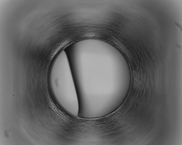 X0000103500482200809121015