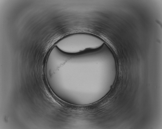 X0000103500485200809121015