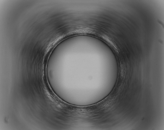 X0000103500486200809121015