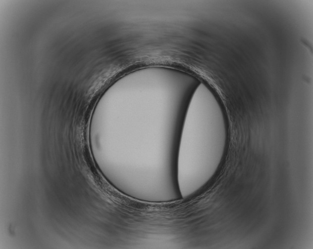 X0000103500487200809121015