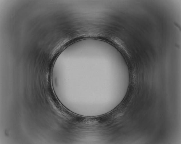 X0000103500491200809121015