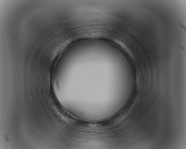 X0000103500493200809121015