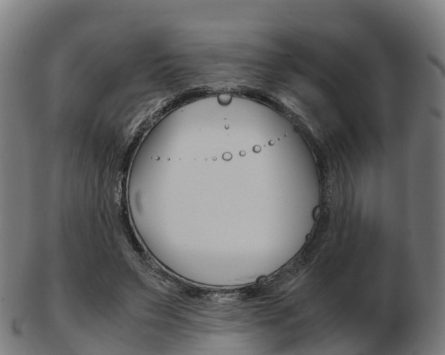 X0000103500495200809121015