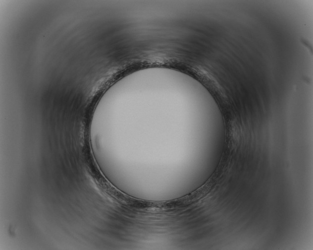 X0000103500496200809121015