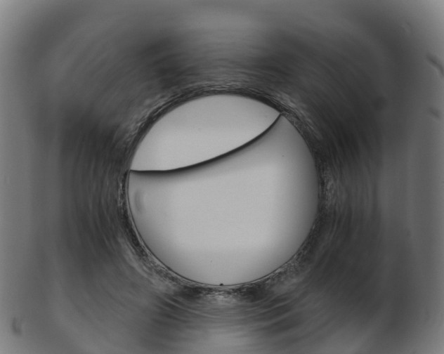 X0000103500498200809121015