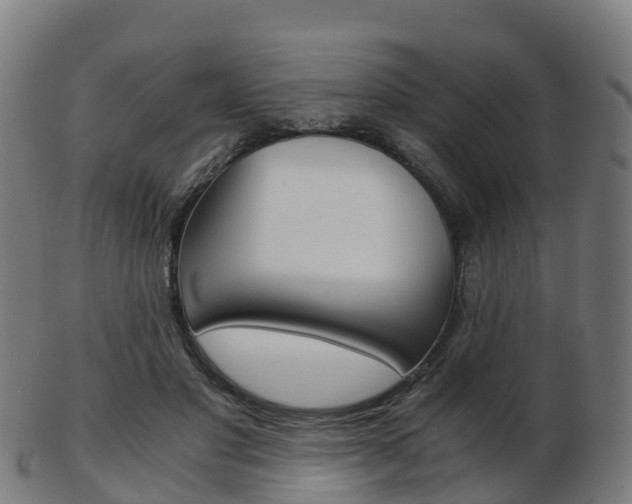 X0000103500501200809121015