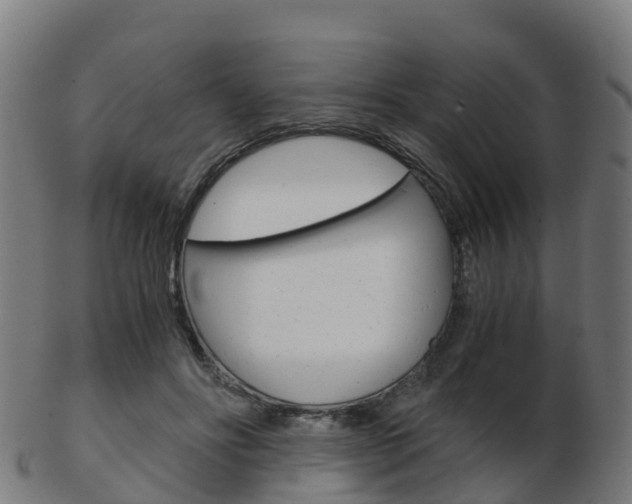 X0000103500502200809121015