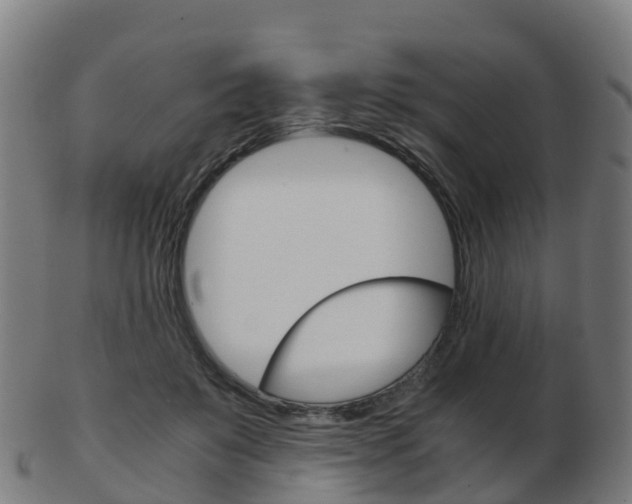 X0000103500503200809121015