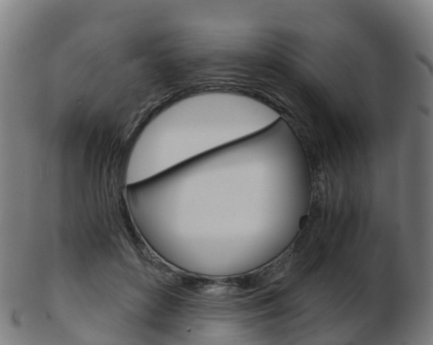 X0000103500504200809121015