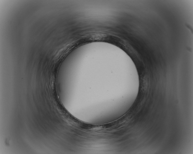 X0000103500505200809121015