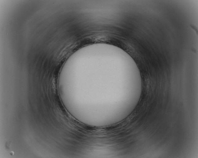 X0000103500506200809121015