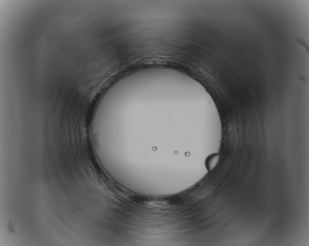 X0000103500508200809121015