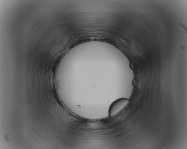 X0000103500510200809121015