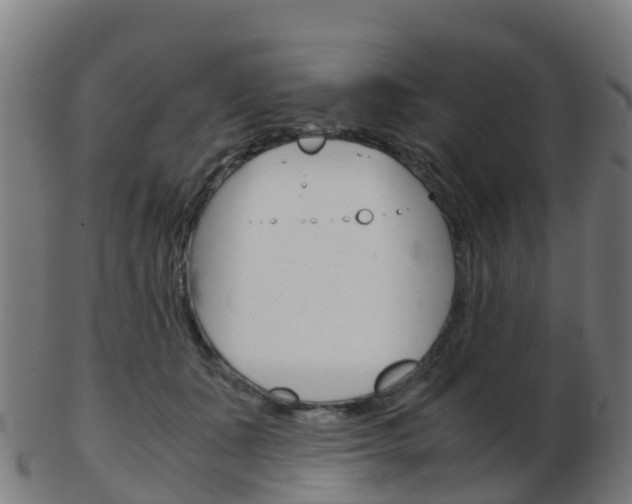 X0000103500511200809121015