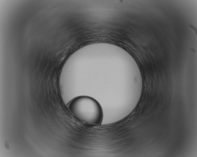 X0000103500520200809121015