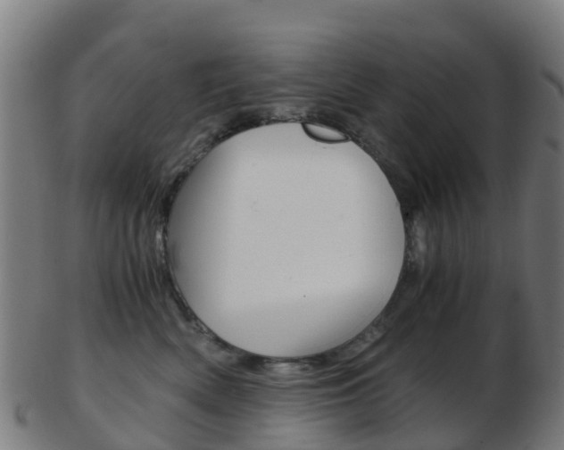 X0000103500522200809121015