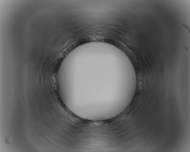 X0000103500523200809121015