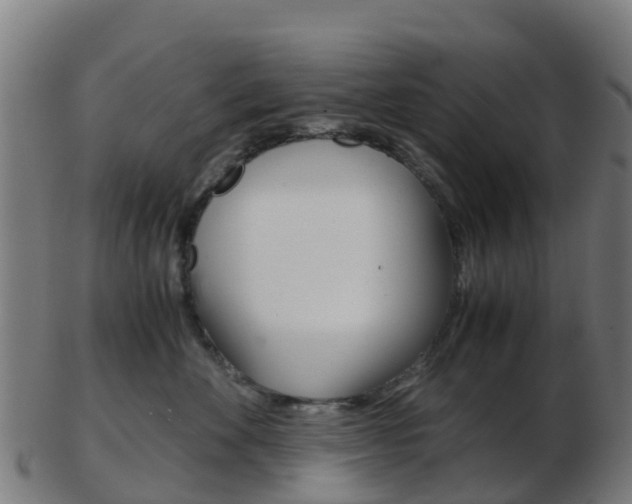 X0000103500524200809121015