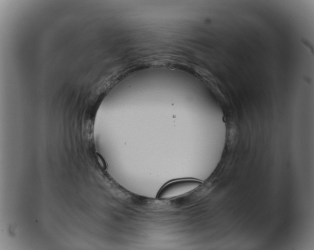 X0000103500525200809121015
