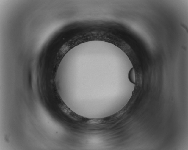 X0000103500526200809121015
