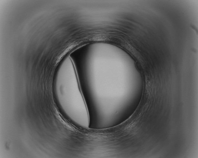 X0000103500530200809121014