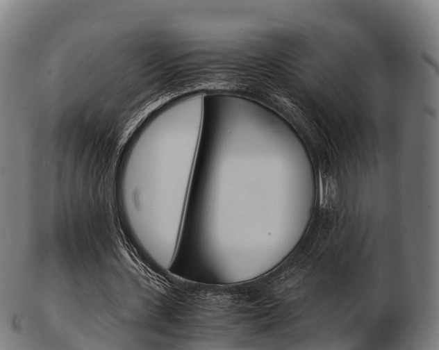 X0000103500531200809121014