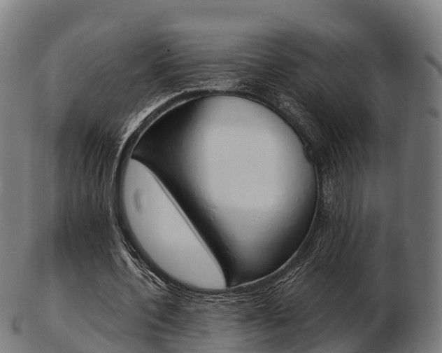 X0000103500532200809121014