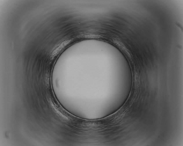 X0000103500533200809121014