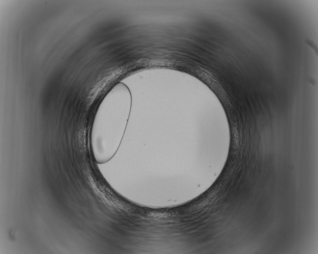 X0000103500534200809121014