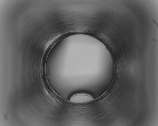 X0000103500536200809121014