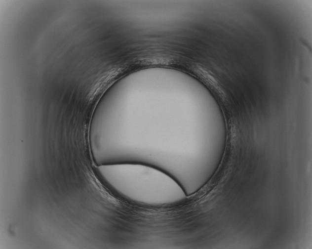 X0000103500537200809121014