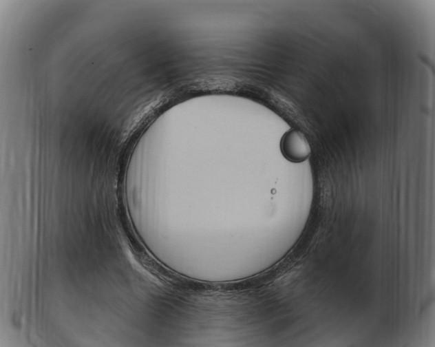 X0000103500538200809121014
