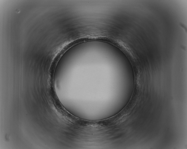 X0000103500540200809121014
